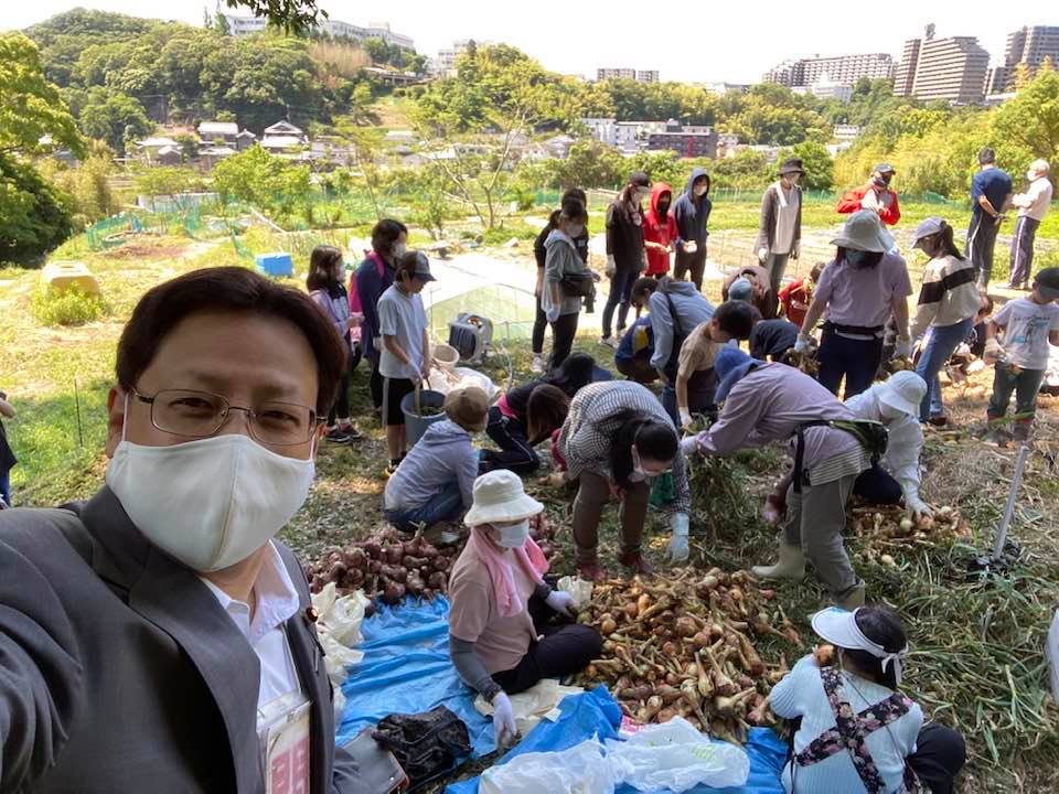 風通しのいいところで、玉葱掘り🧅🧅🧅