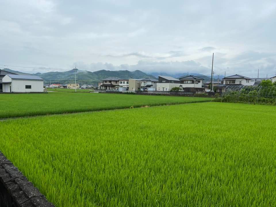 兵庫県の各地域に大雨警報が出ています。