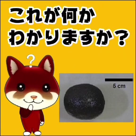 【せきTUBE】これがなにかわかりますか？