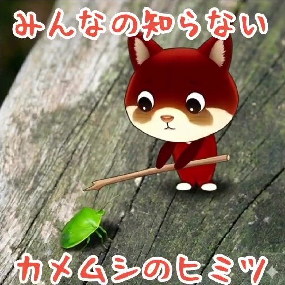 【せきTUBE】みんなの知らないカメムシのヒミツ